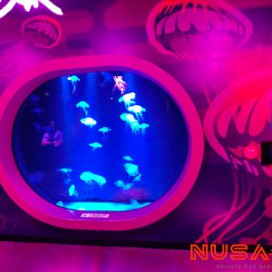 Legoland Malaysia Sea Life Aquarium Jellies