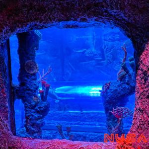 Legoland Malaysia Sea Life Aquarium Ocean Cave