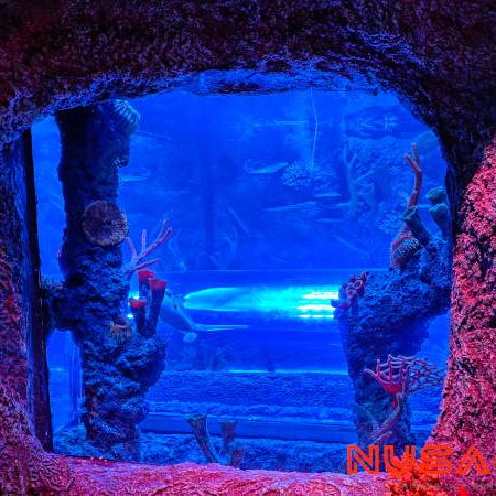 Legoland Malaysia Sea Life Aquarium Ocean Cave