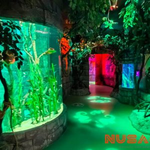 Legoland Malaysia Sea Life Aquarium Seahorses