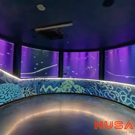 Legoland Malaysia Sea Life Aquarium Shoaling Ring